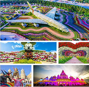 Miracle Garden